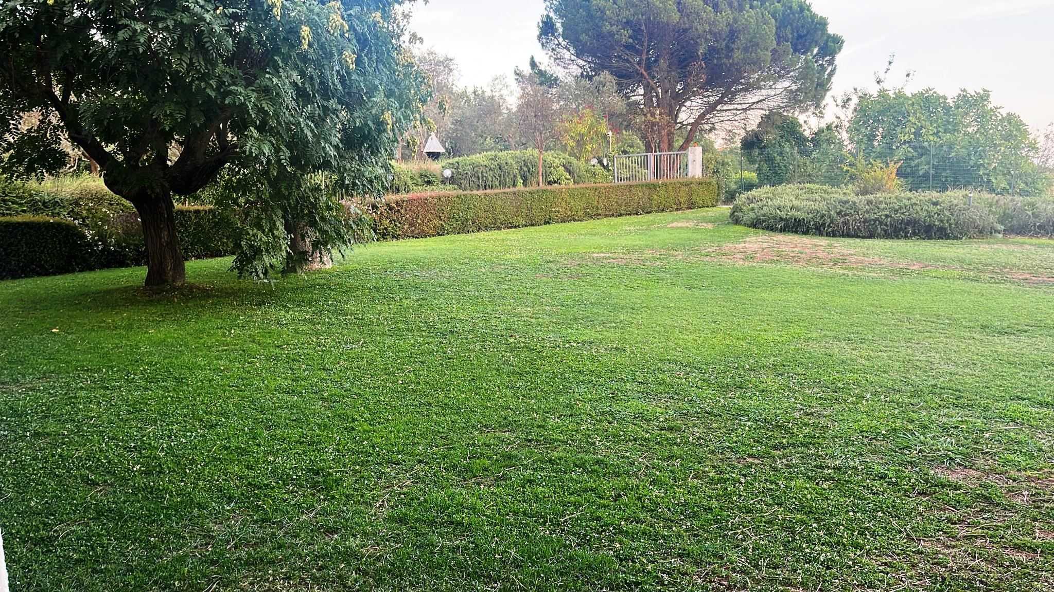  - foto 11