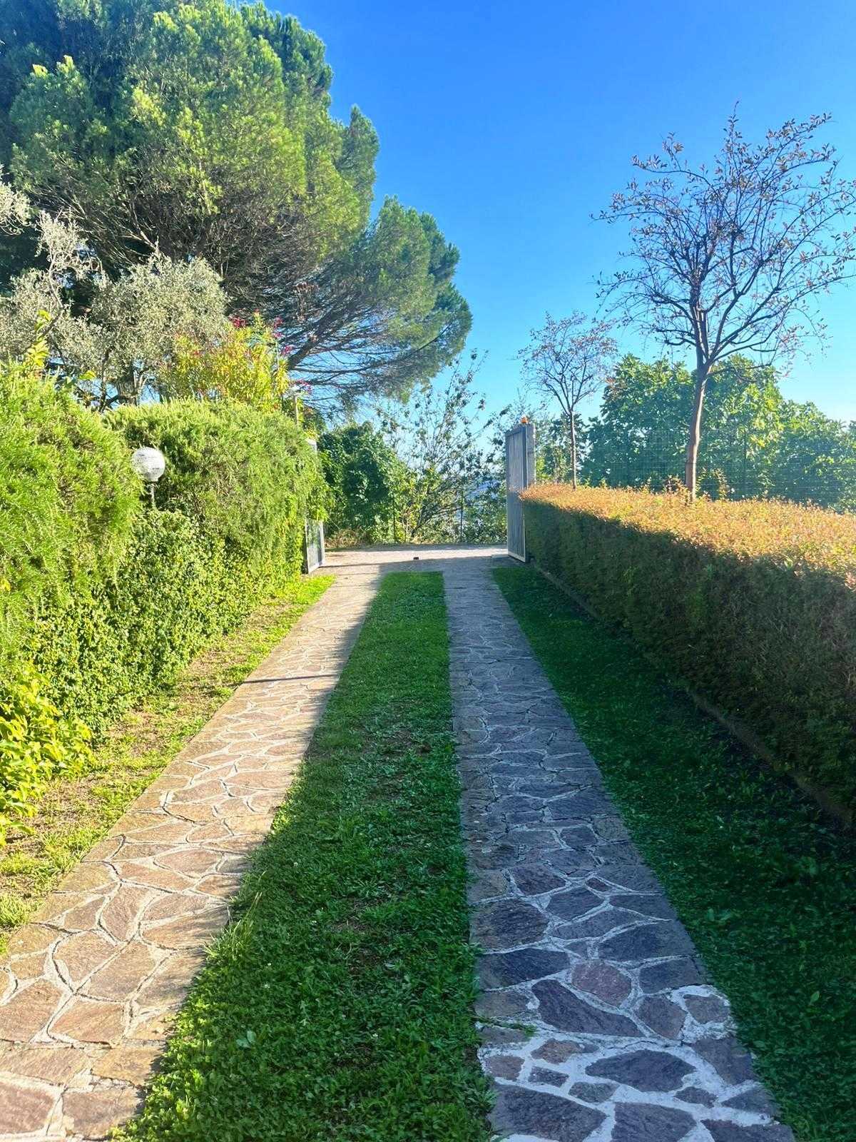  - foto 59