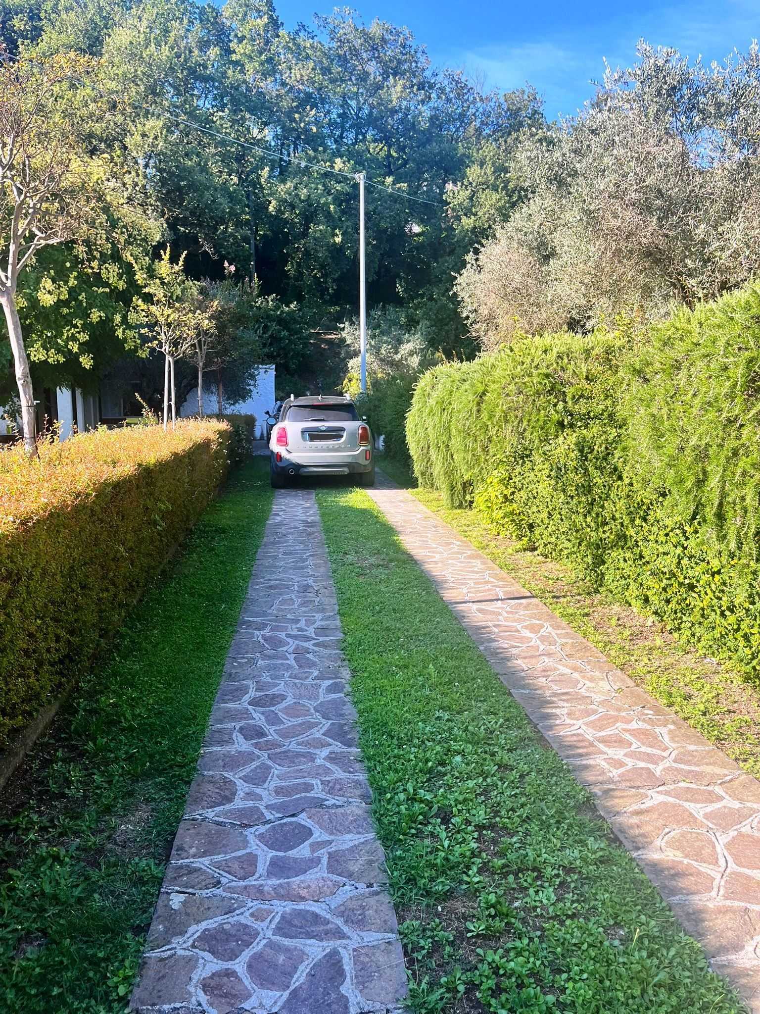  - foto 61