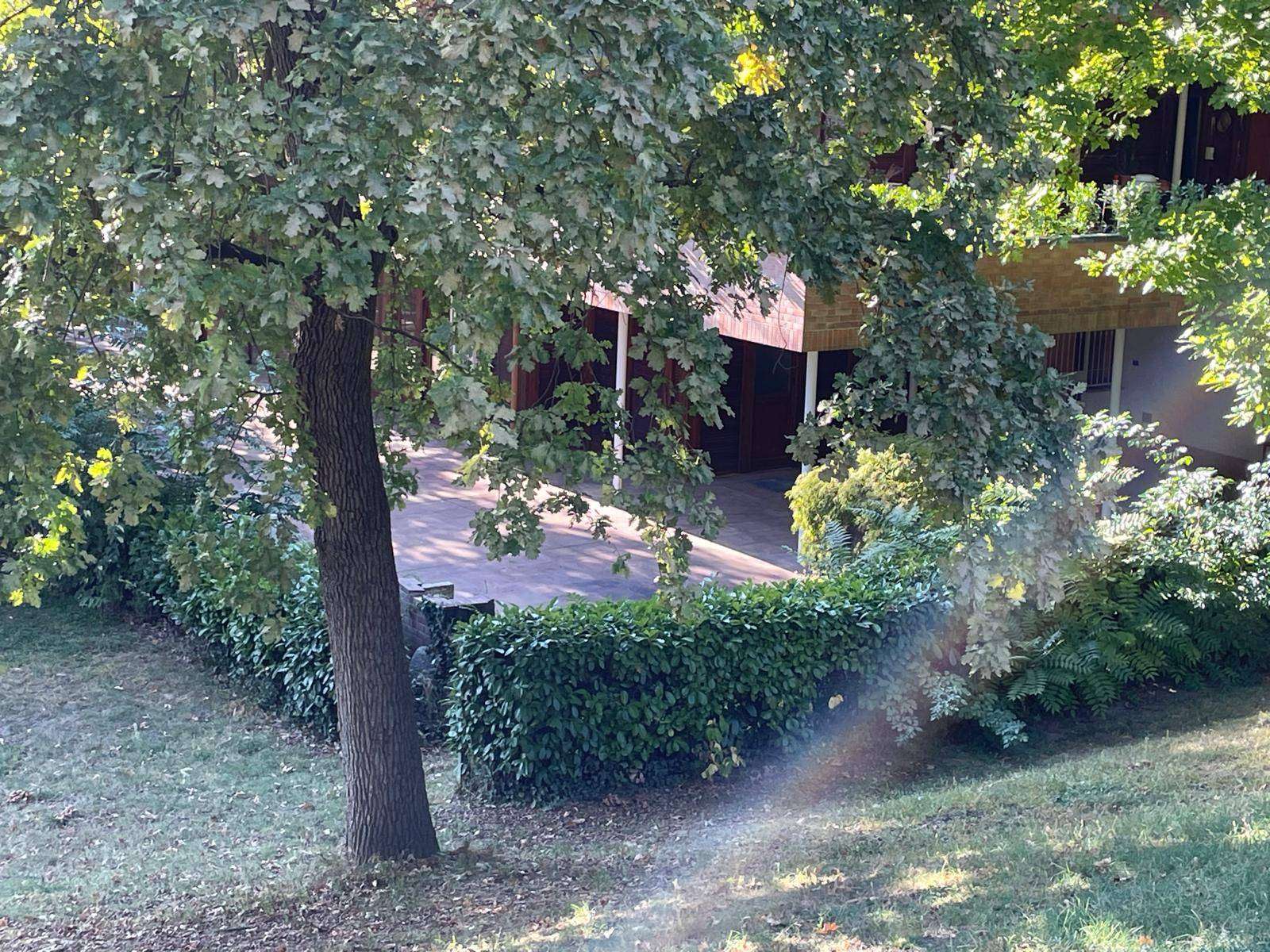  - foto 59