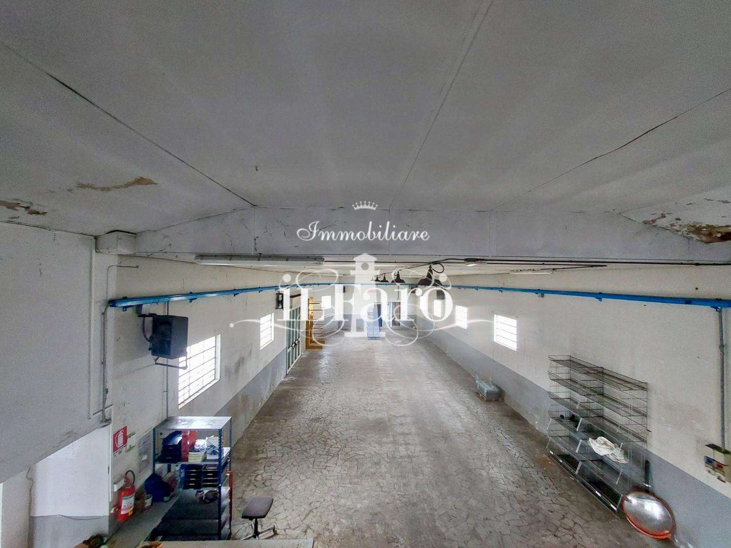  - foto 17