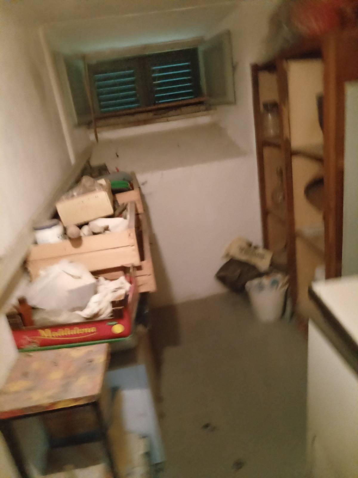  - foto 13