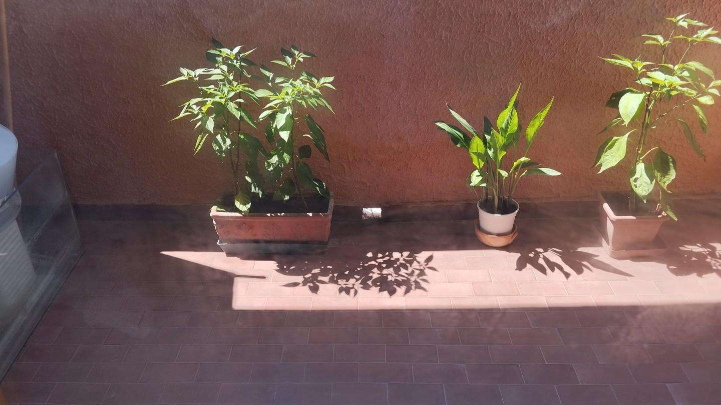  - foto 6