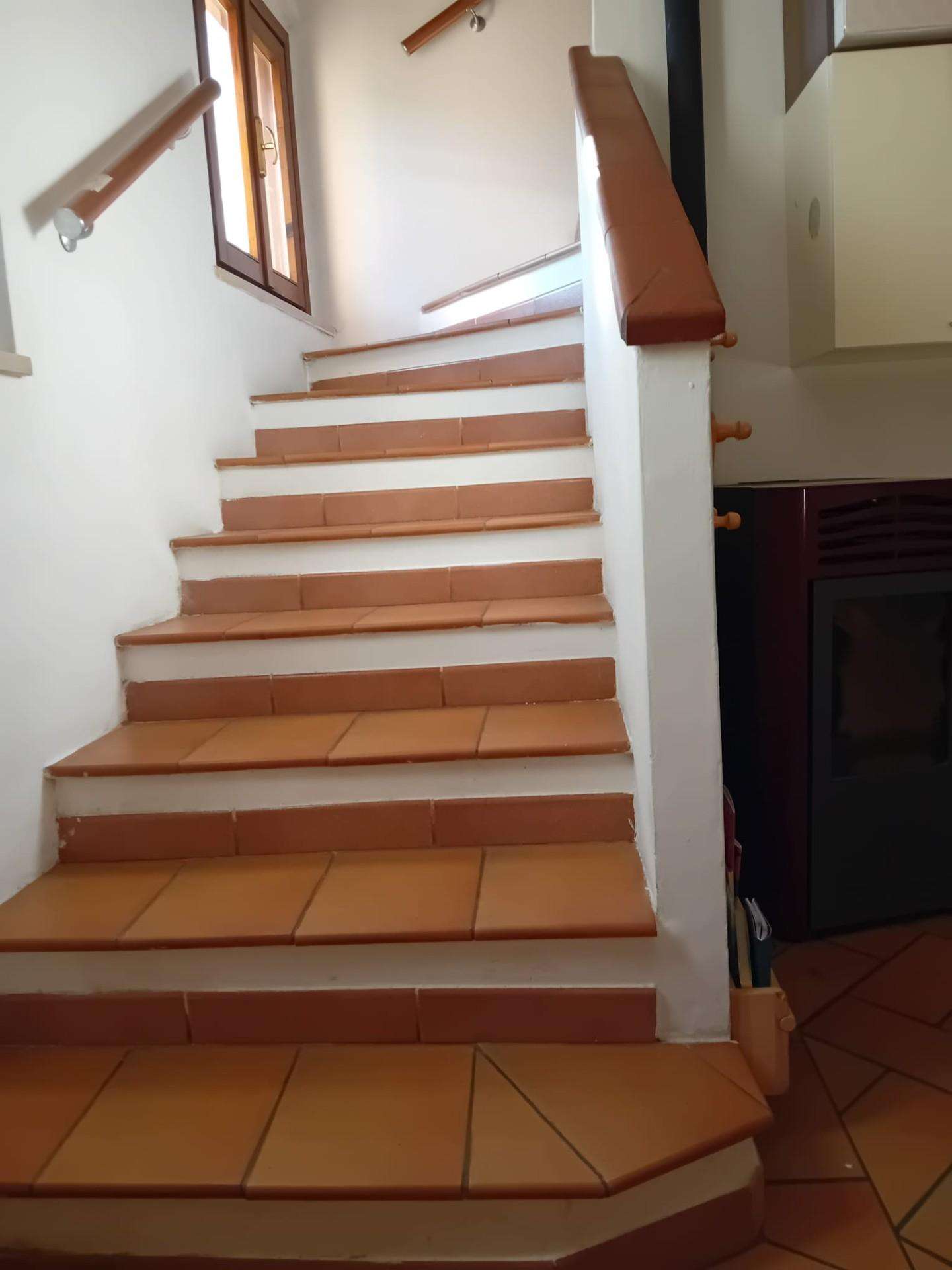  - foto 13