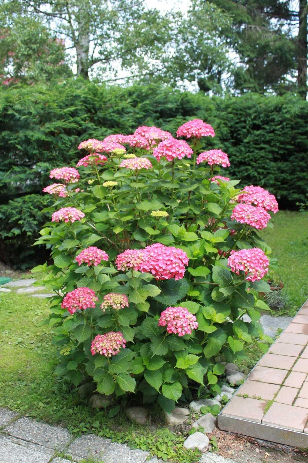  - foto 24