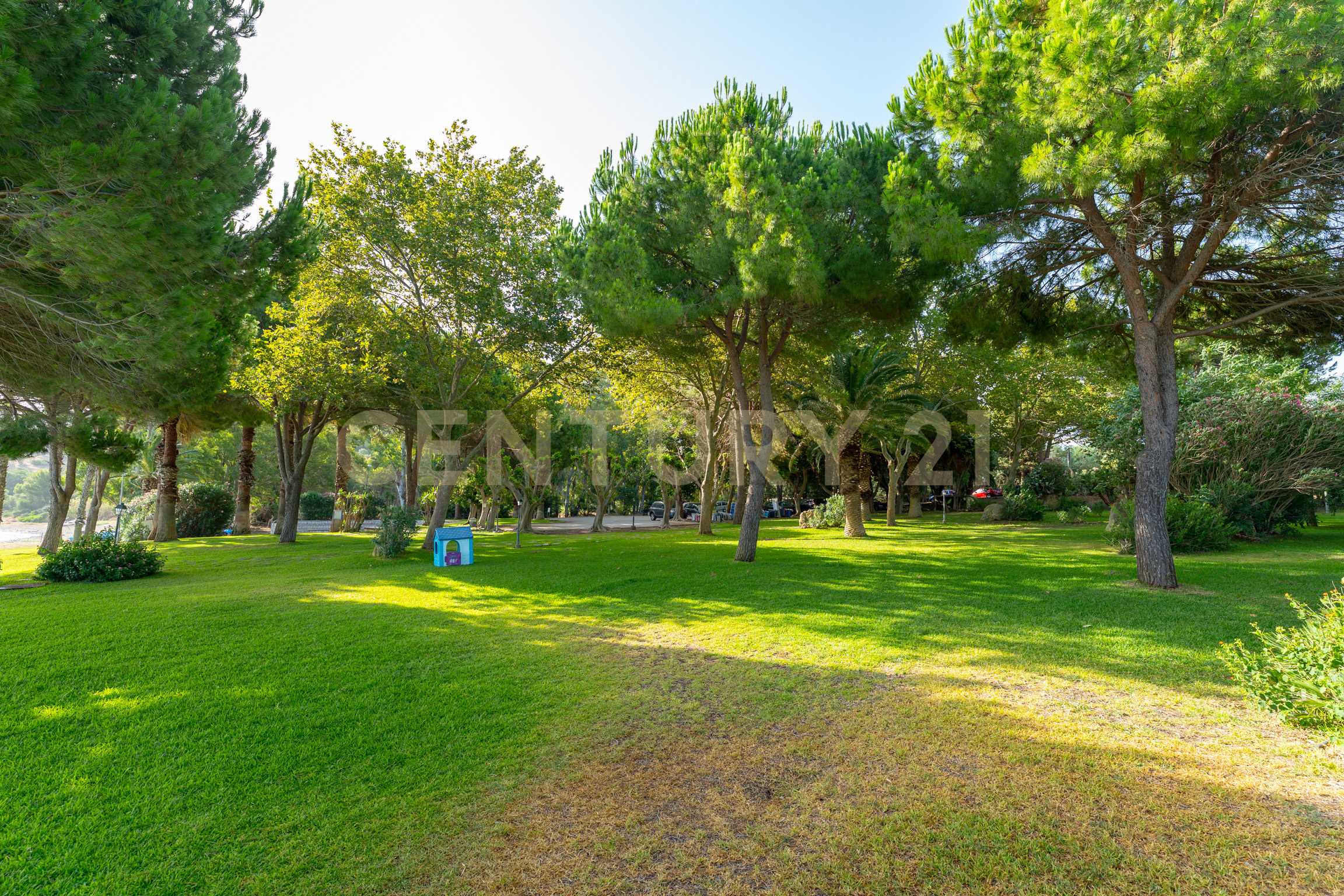  - foto 60