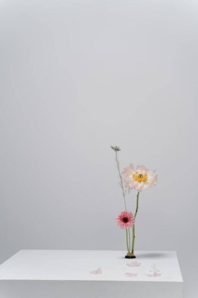  - foto 18