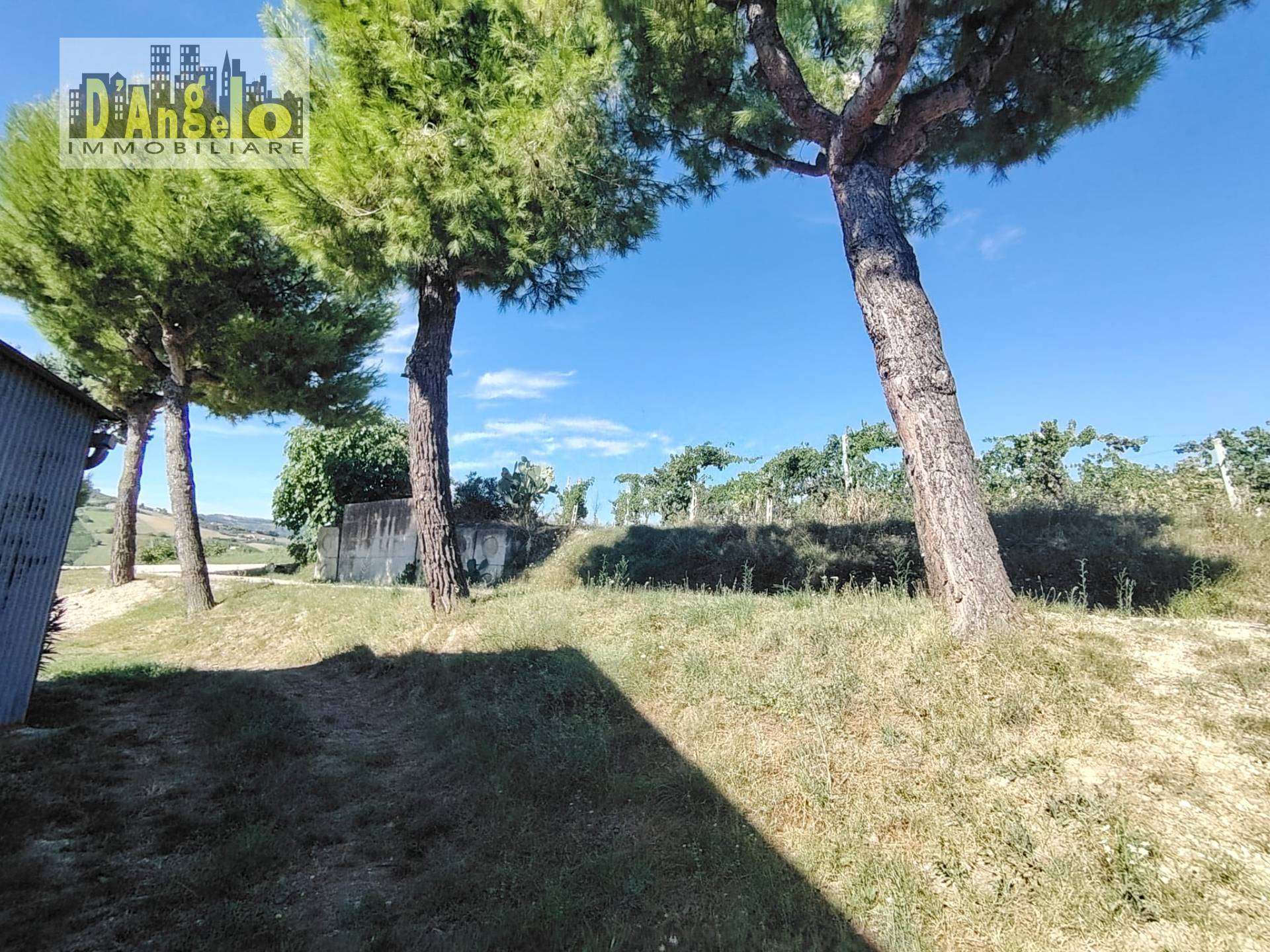  - foto 10