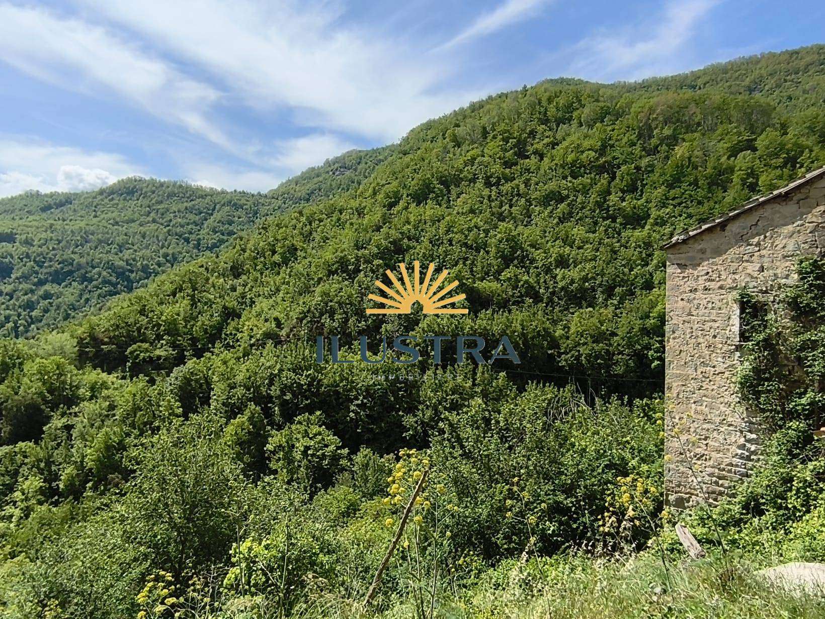  - foto 40