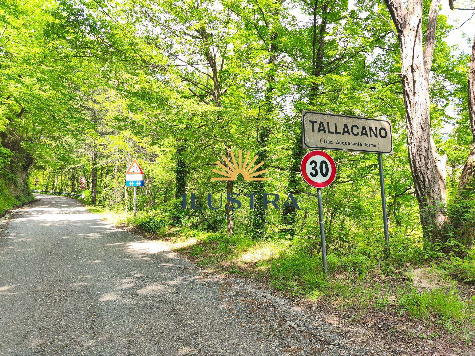 Terreno agricolo Frazione Tallacanon, Acquasanta Terme