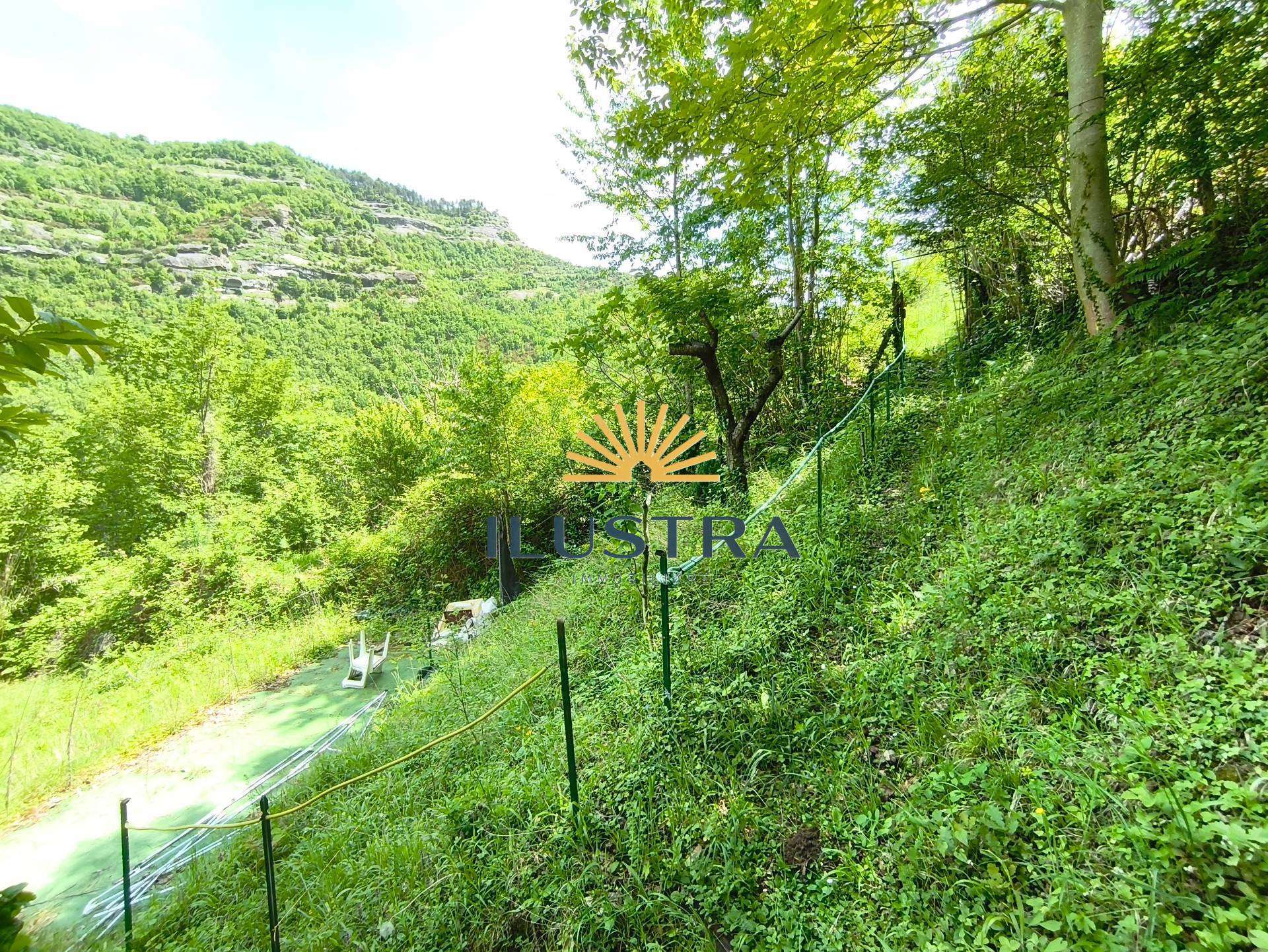  - foto 16