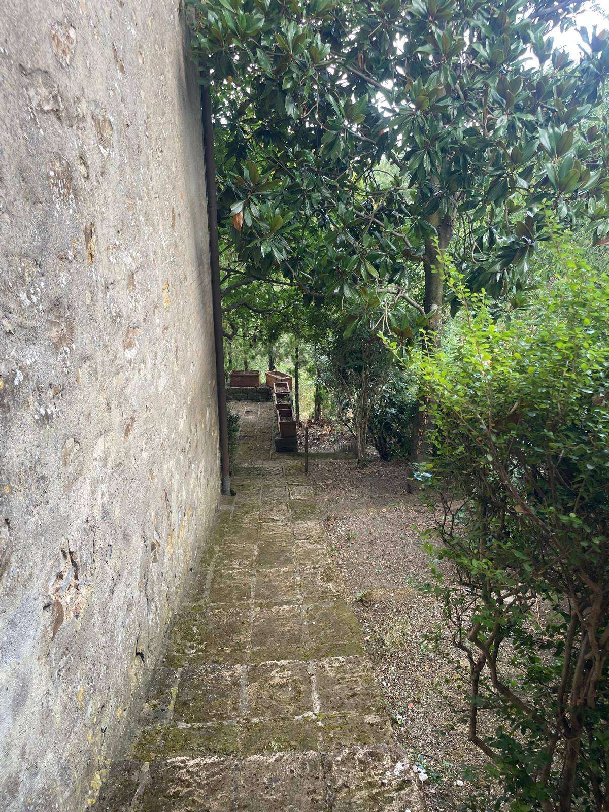  - foto 30