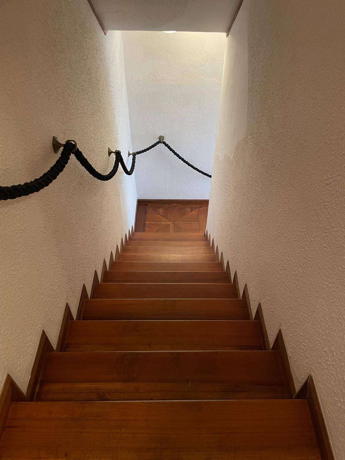  - foto 13