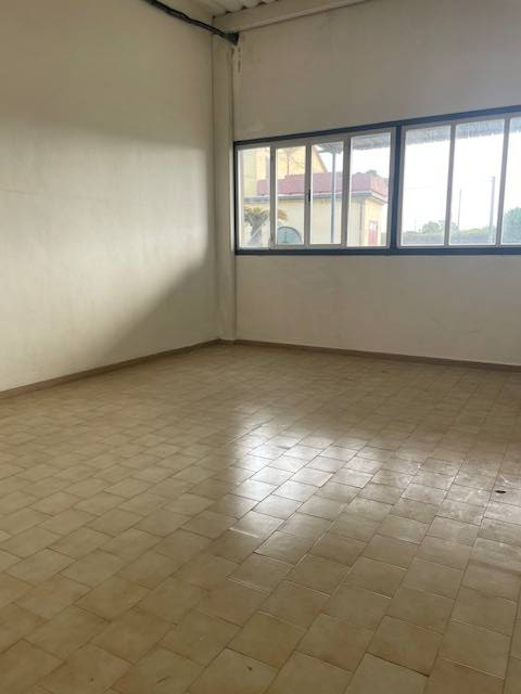  - foto 12