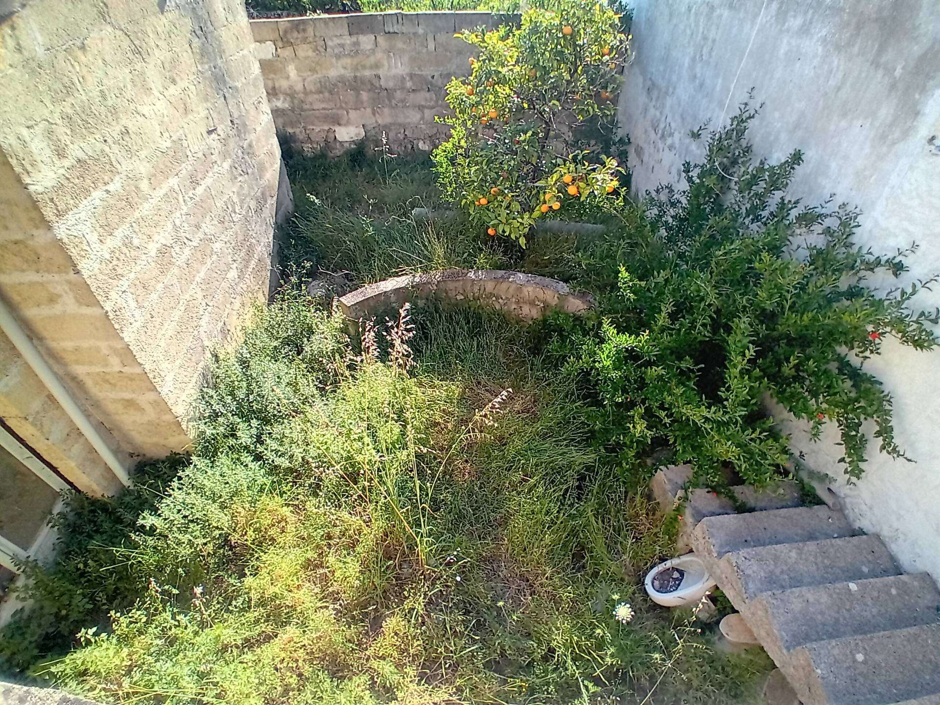  - foto 19