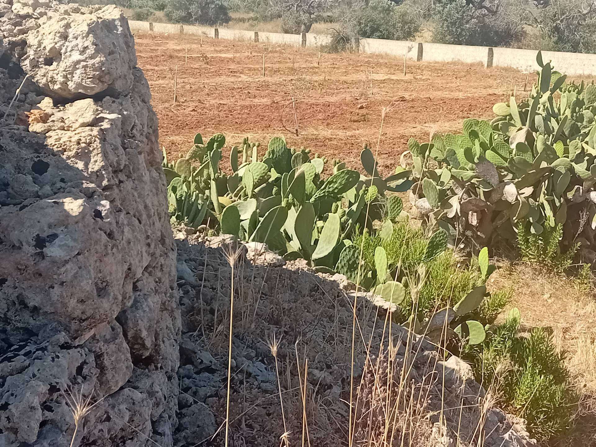  - foto 10