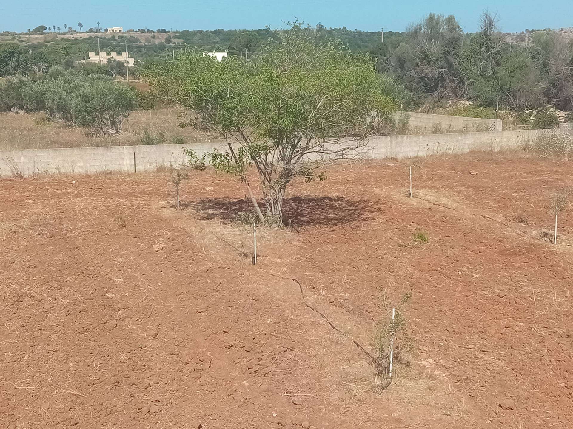  - foto 20