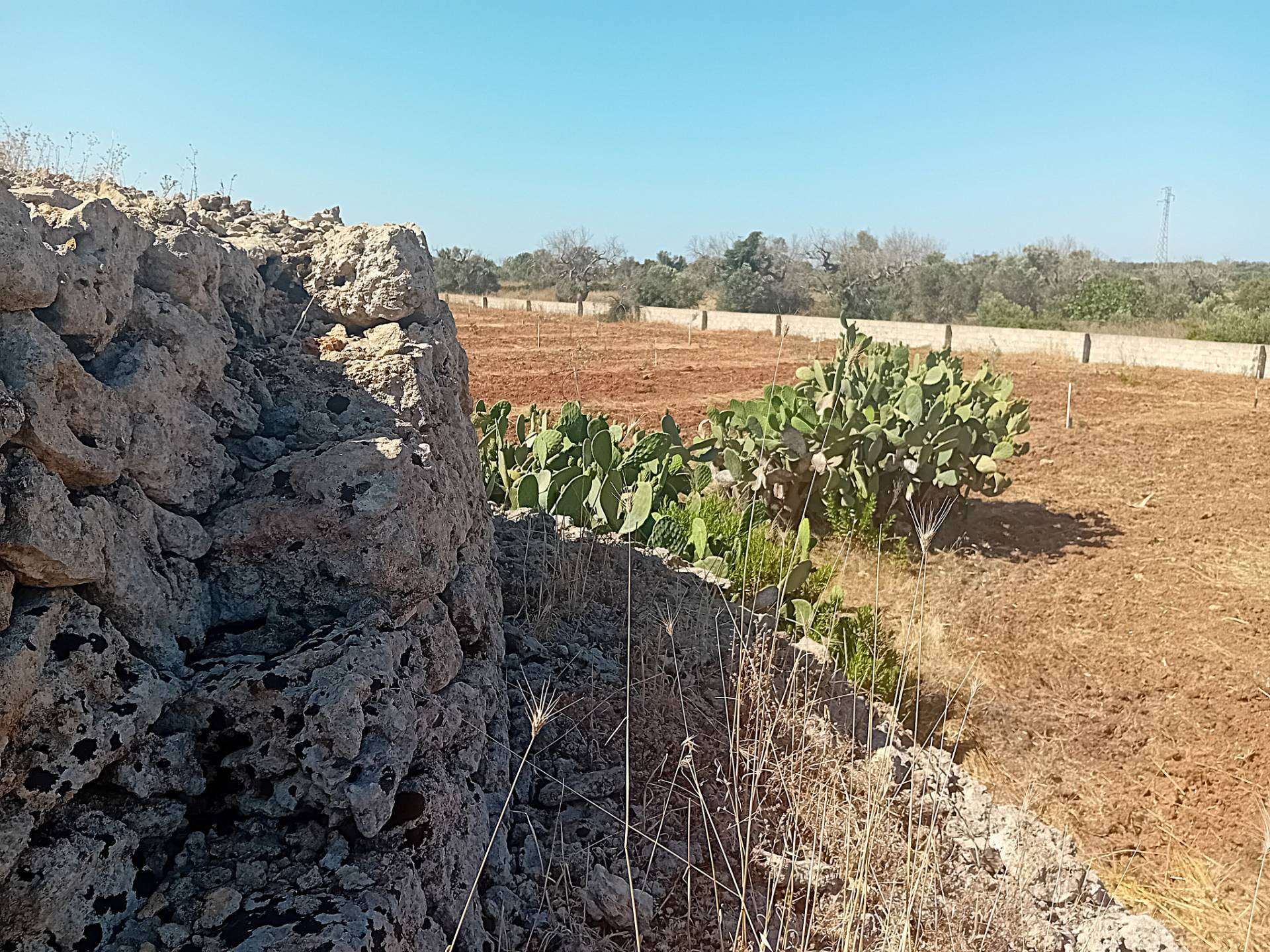  - foto 8
