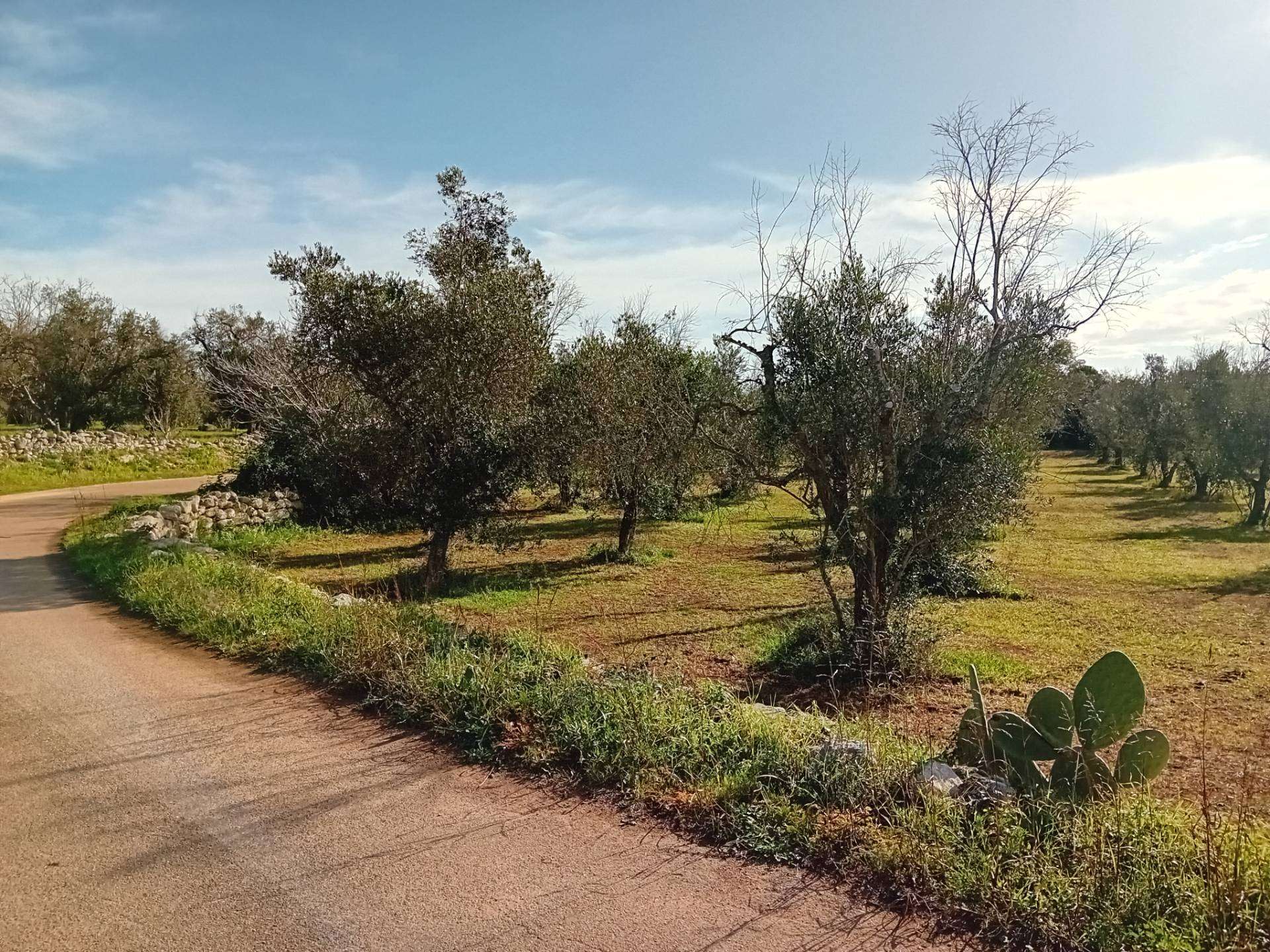  - foto 13