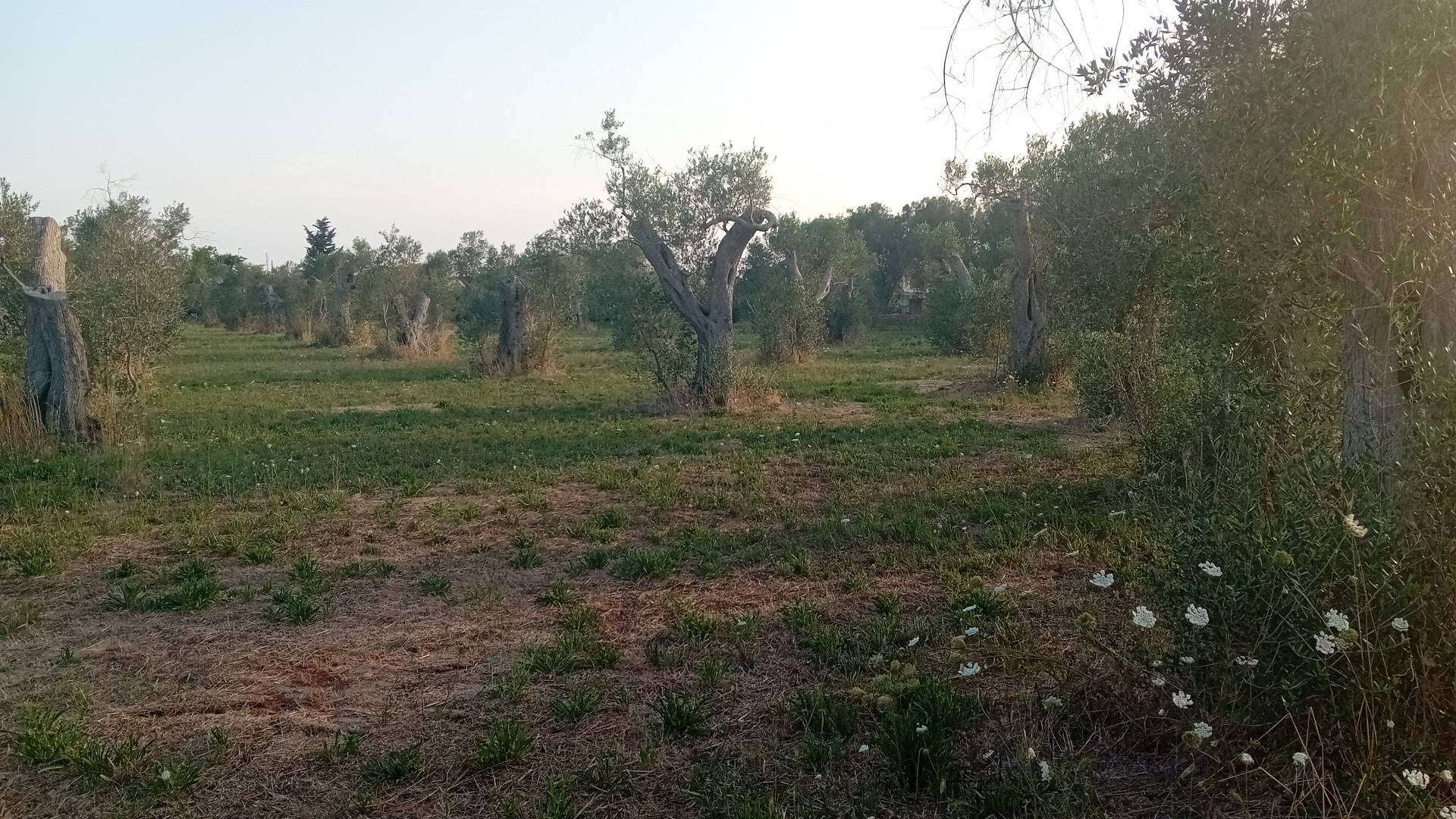  - foto 13