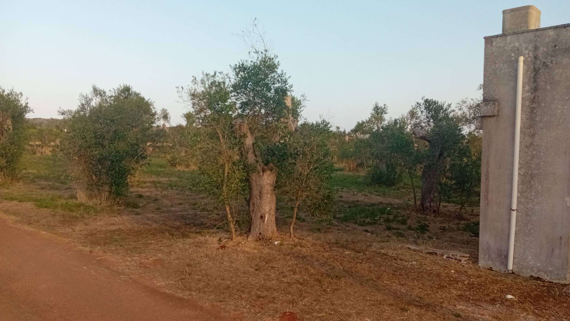  - foto 16