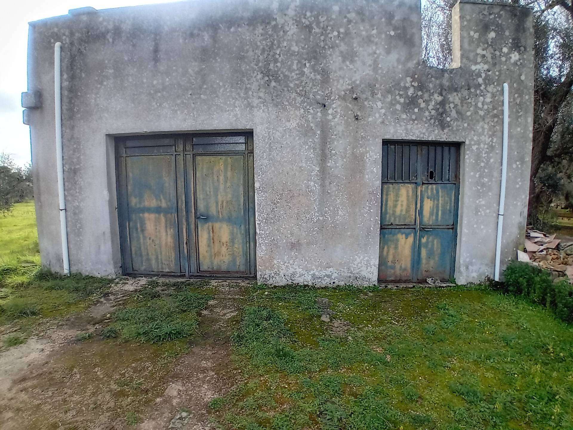  - foto 5