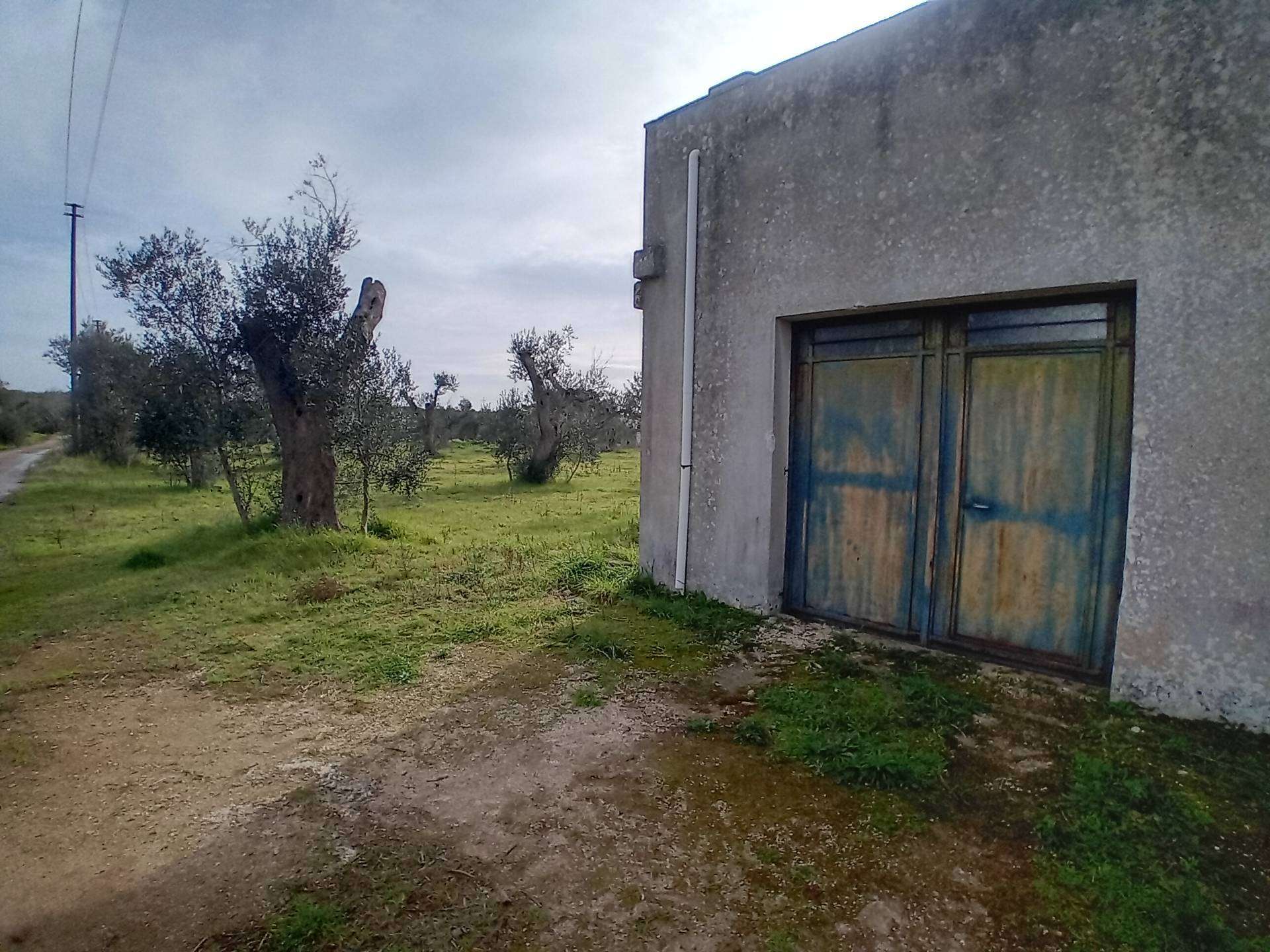  - foto 6