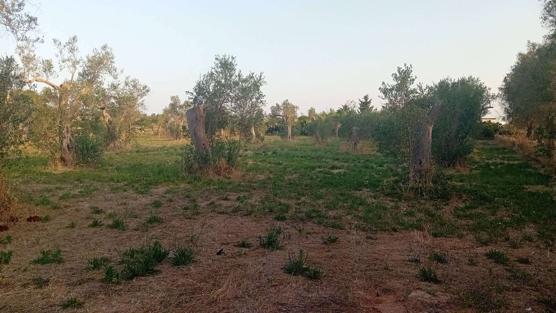  - foto 9