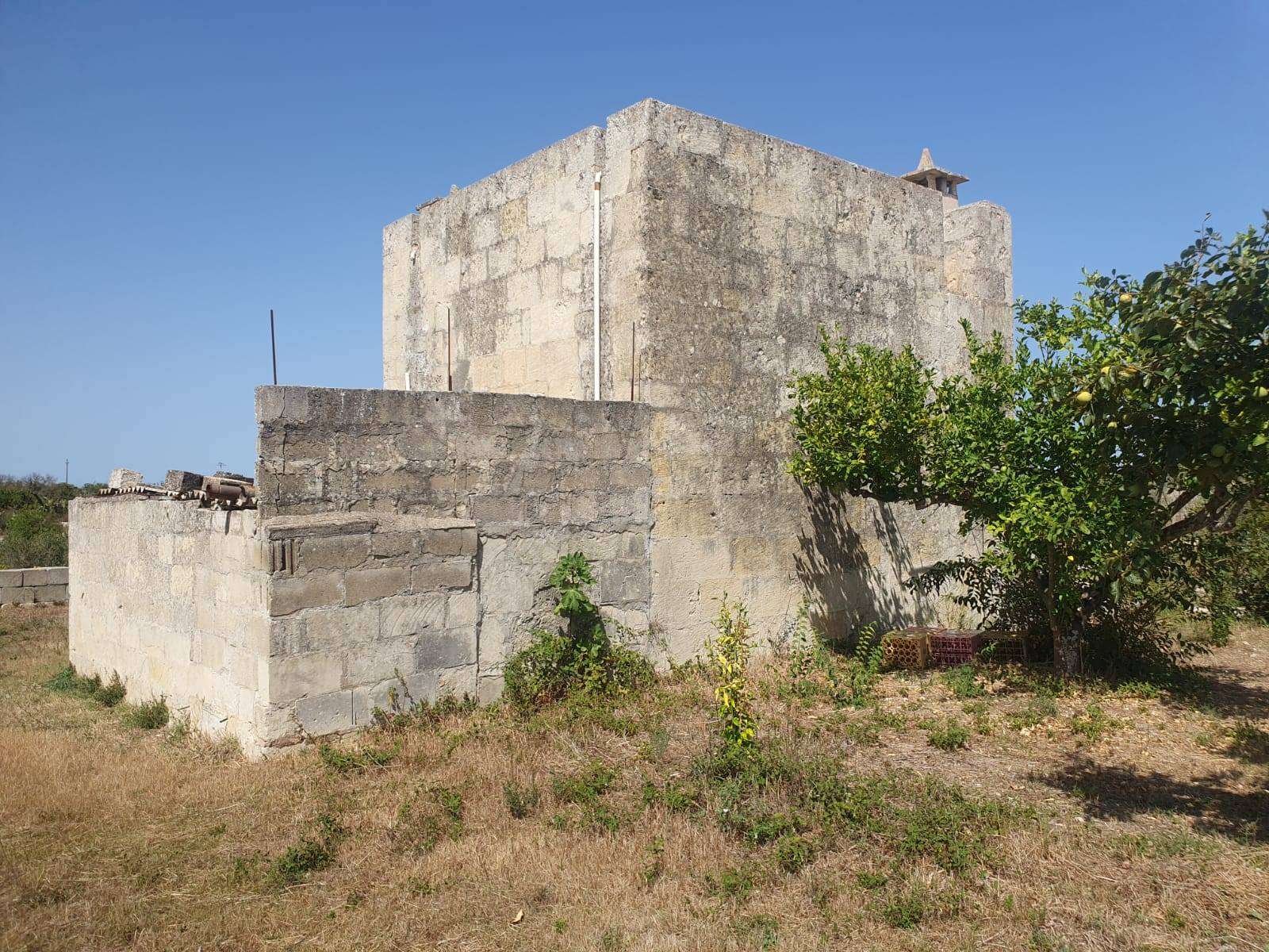  - foto 21