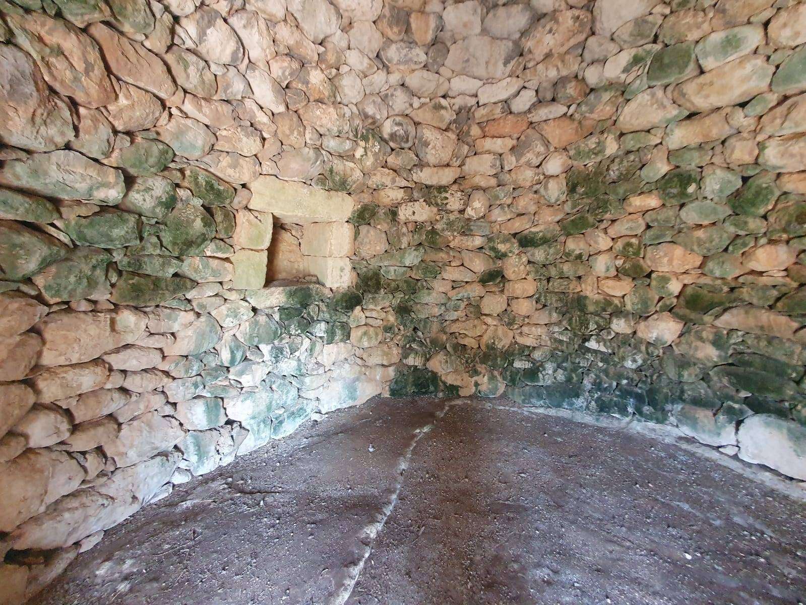  - foto 31