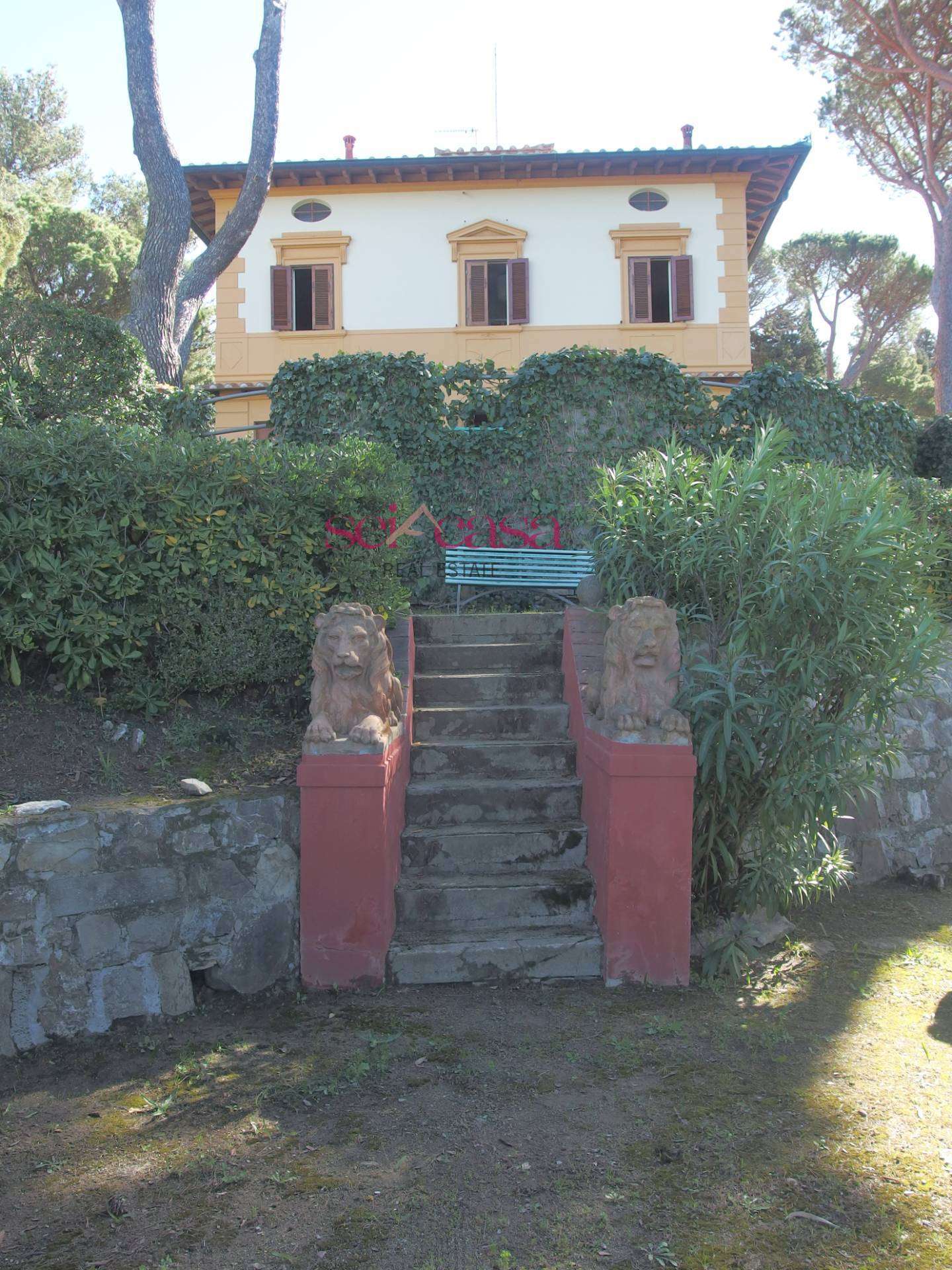  - foto 17
