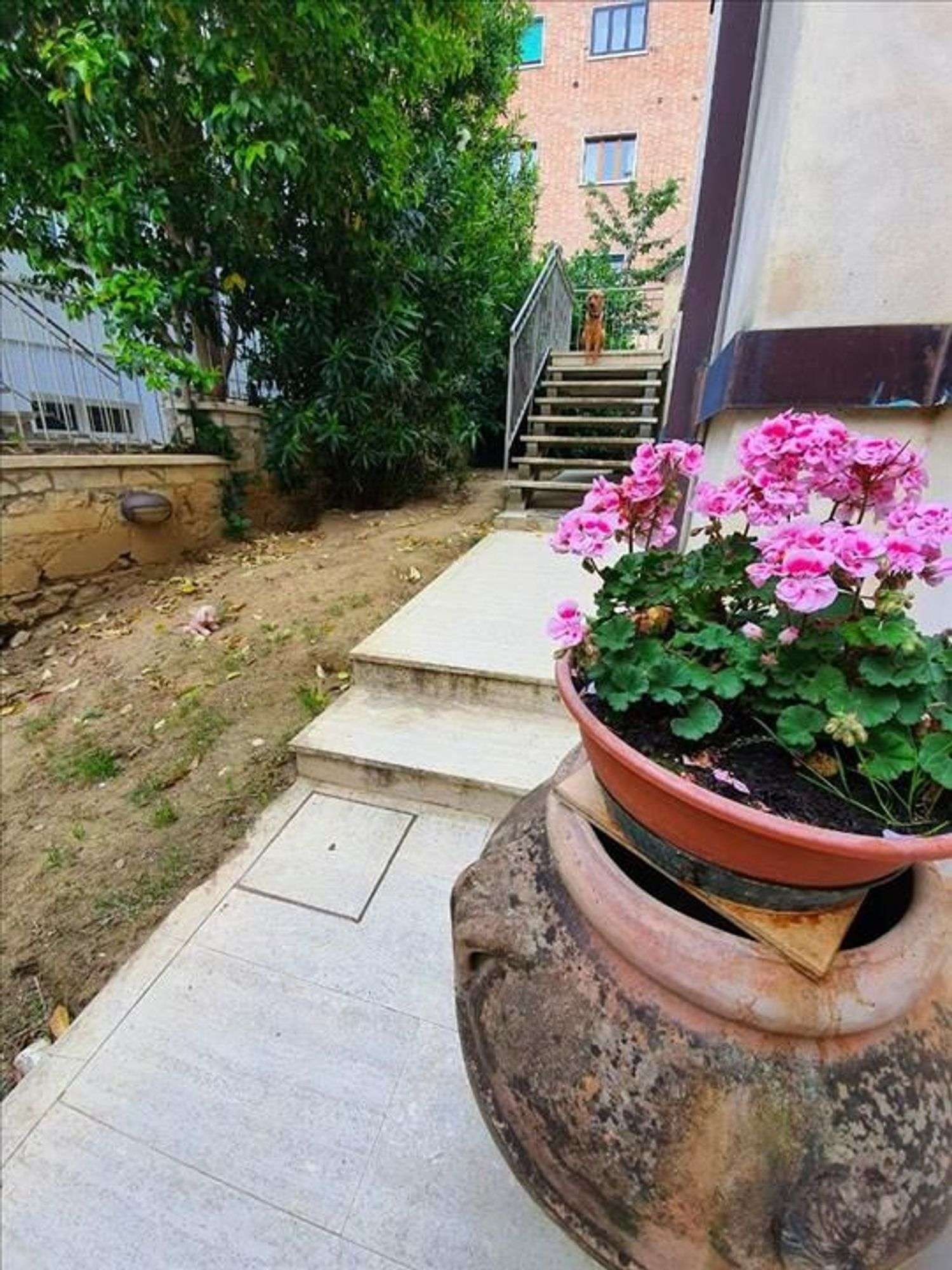  - foto 16