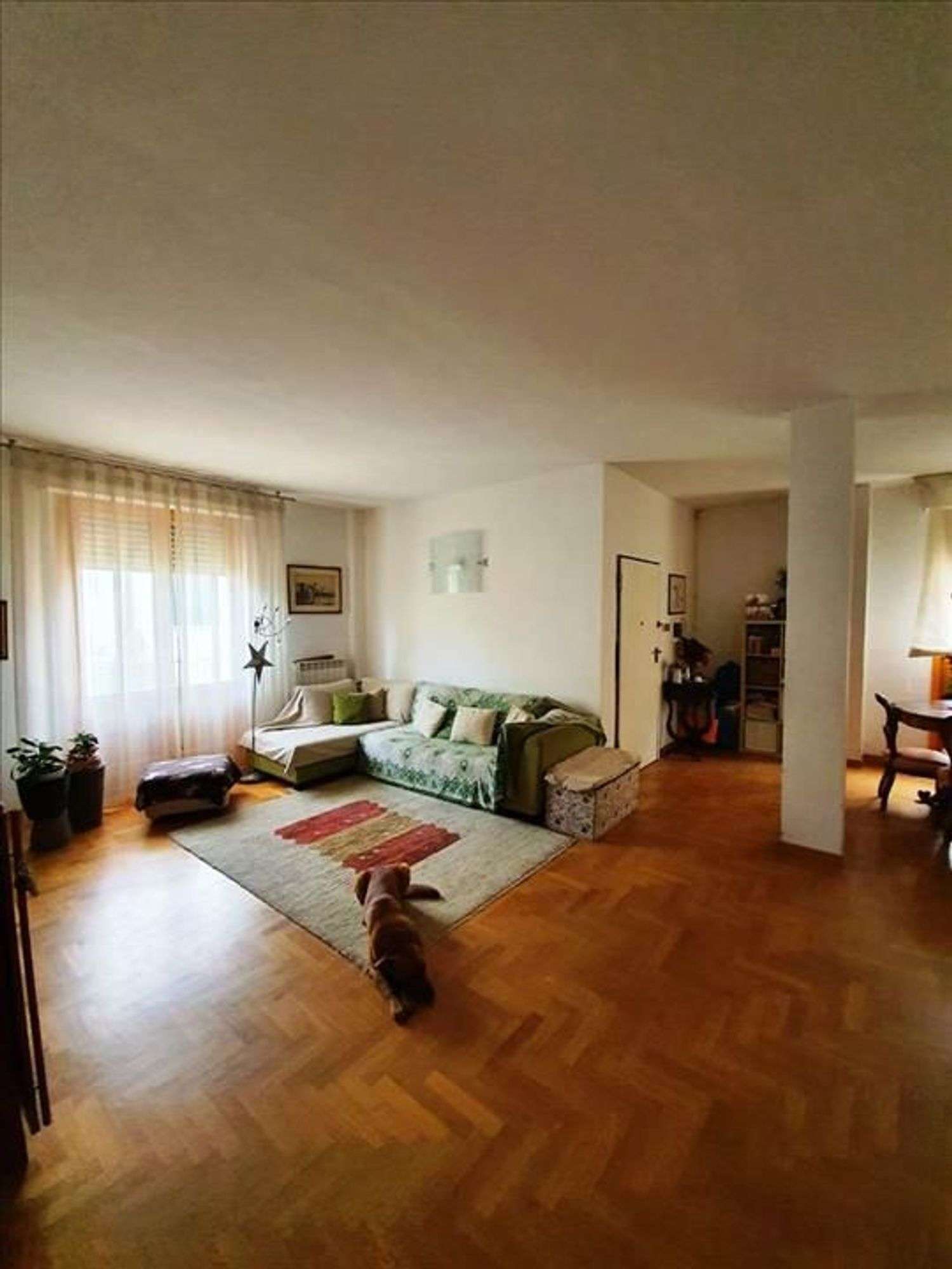  - foto 8