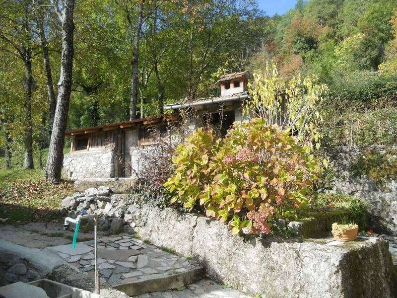  - foto 5