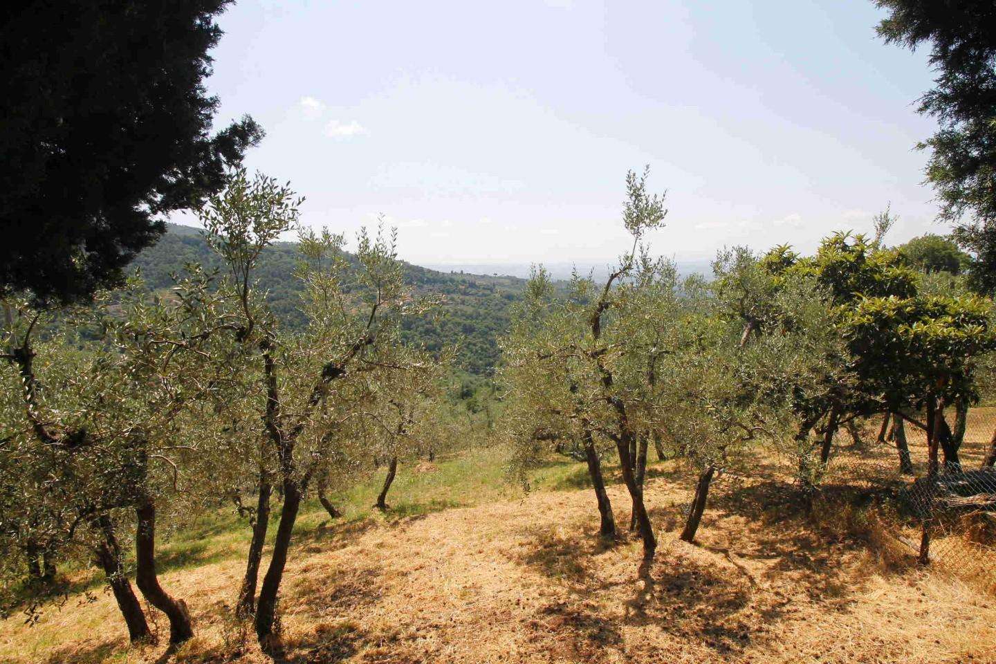  - foto 2