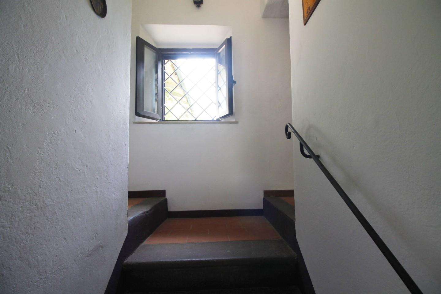  - foto 9