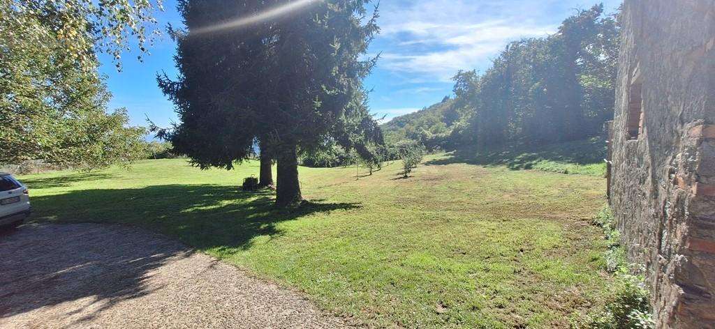  - foto 7