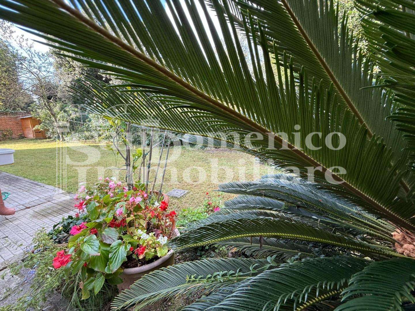  - foto 54