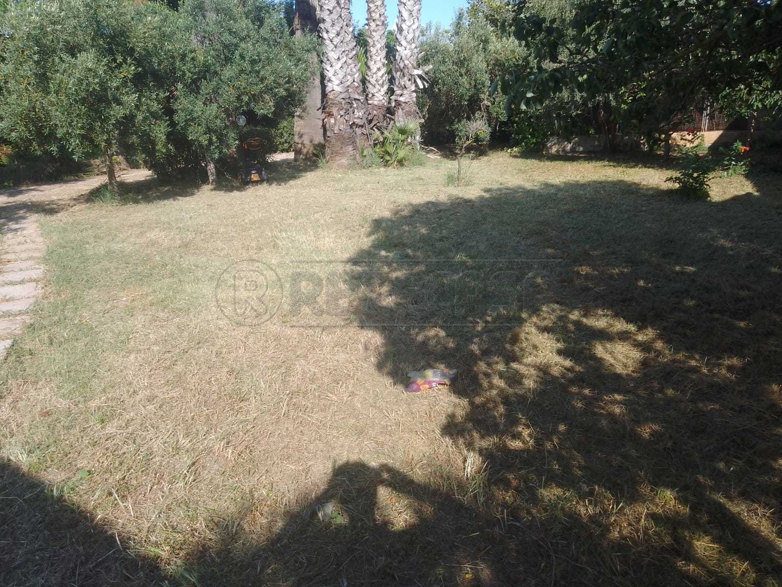  - foto 33