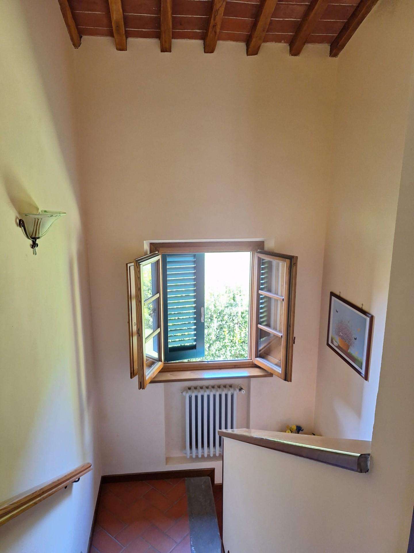  - foto 45