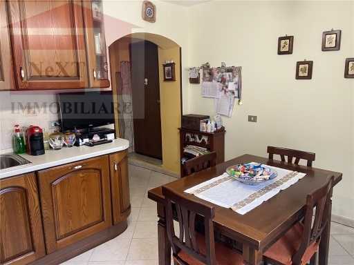 immagine annuncio 7 di 13