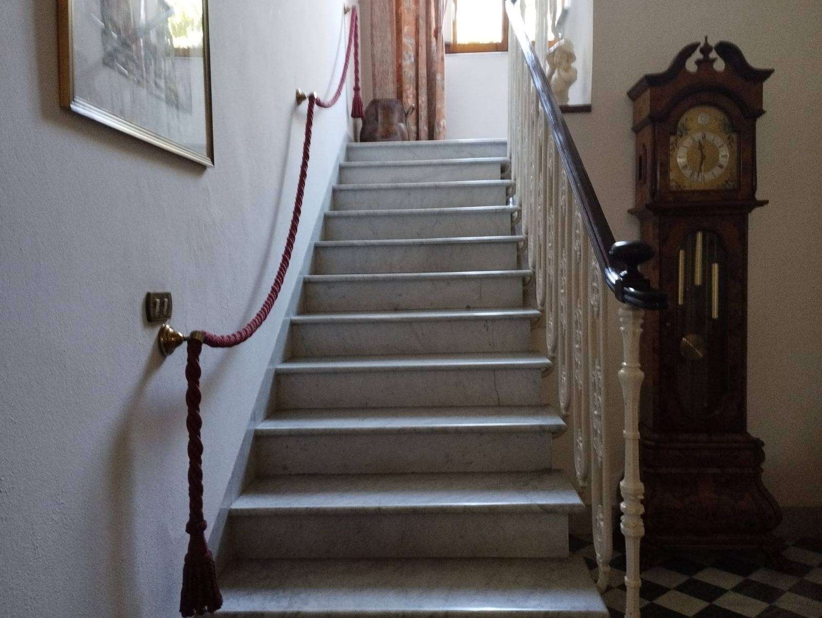  - foto 27