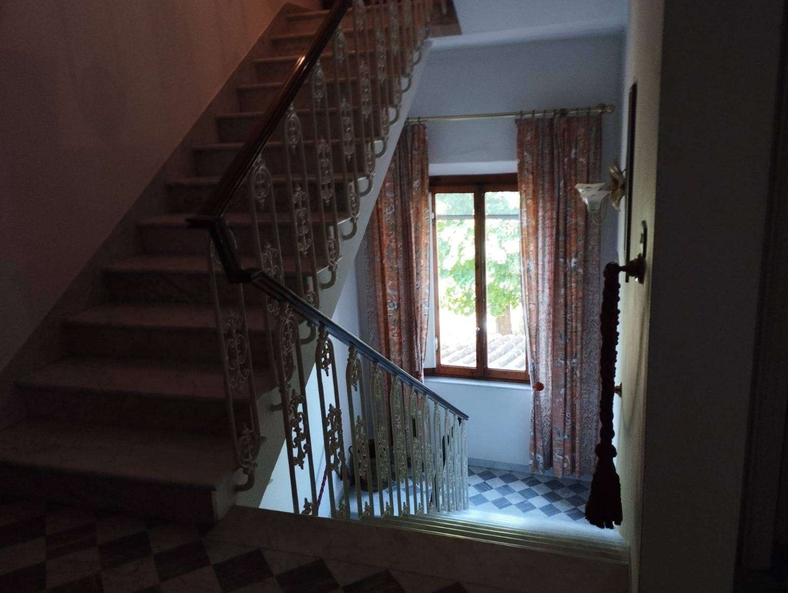  - foto 28