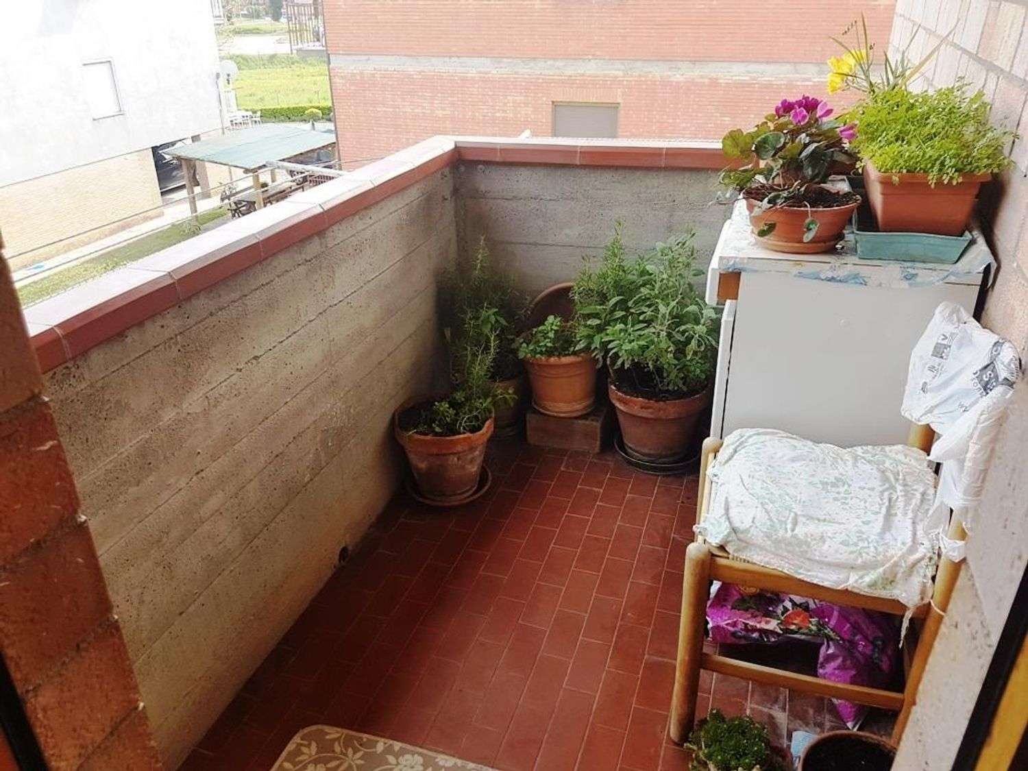  - foto 5
