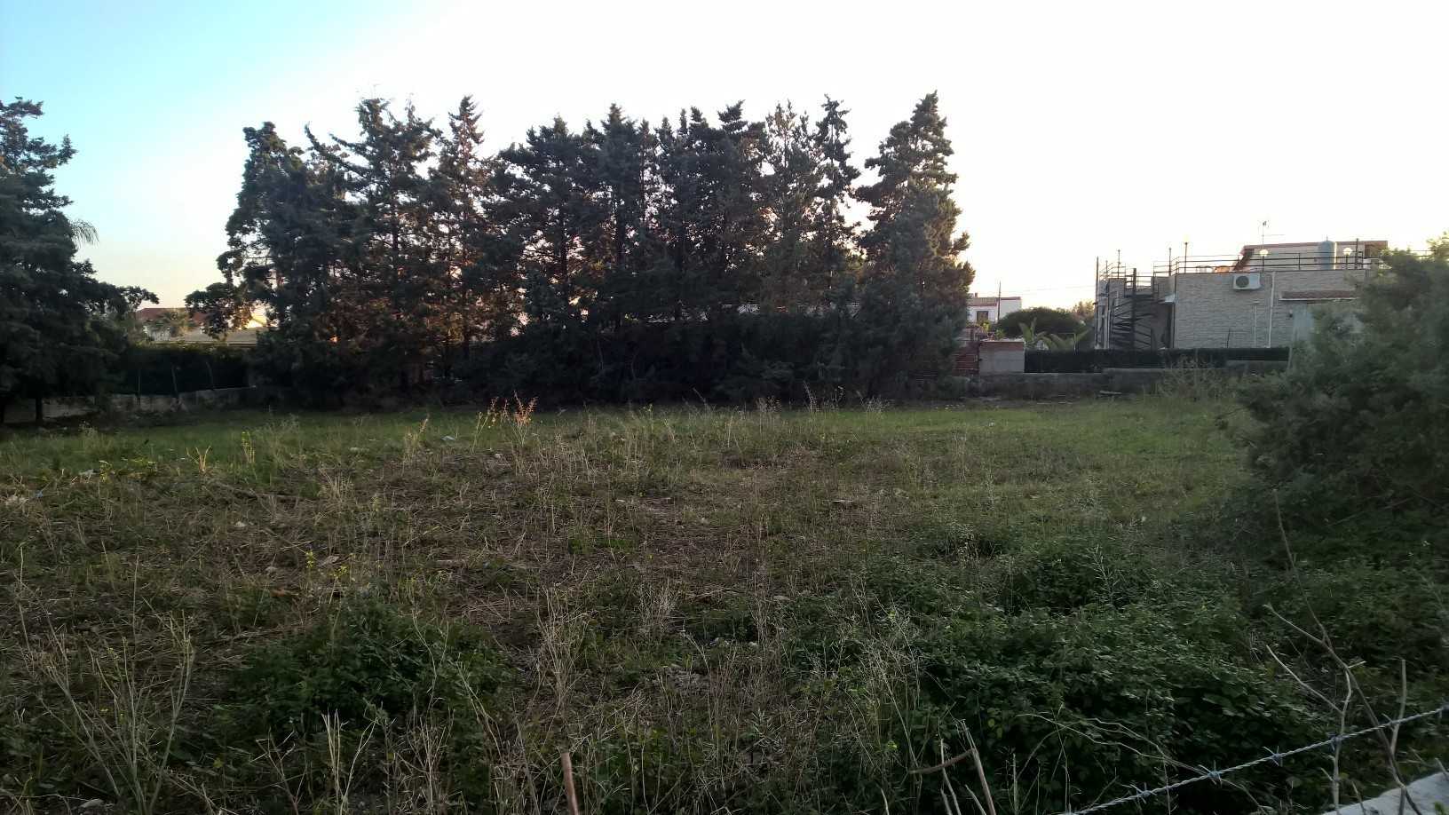  - foto 3