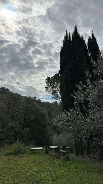  - foto 31