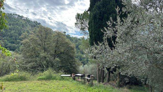  - foto 32