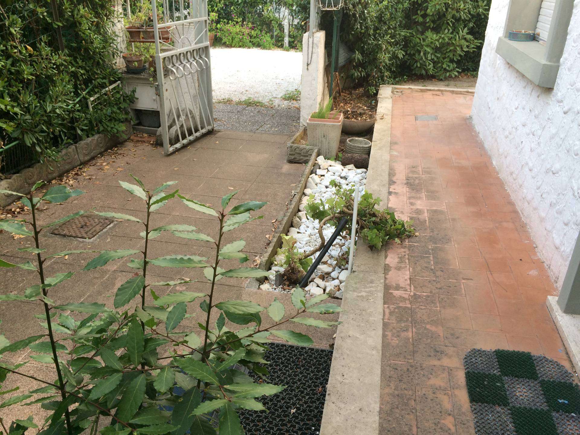  - foto 11
