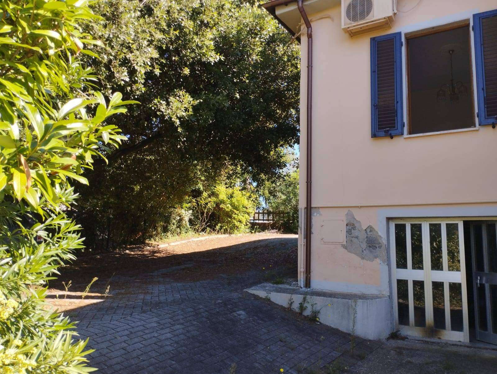  - foto 11