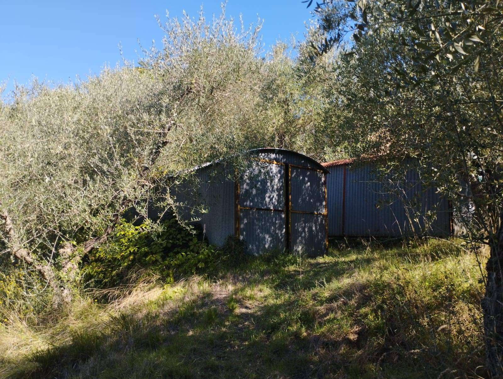  - foto 20